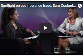 spotlight-pet-insurance-video.jpg